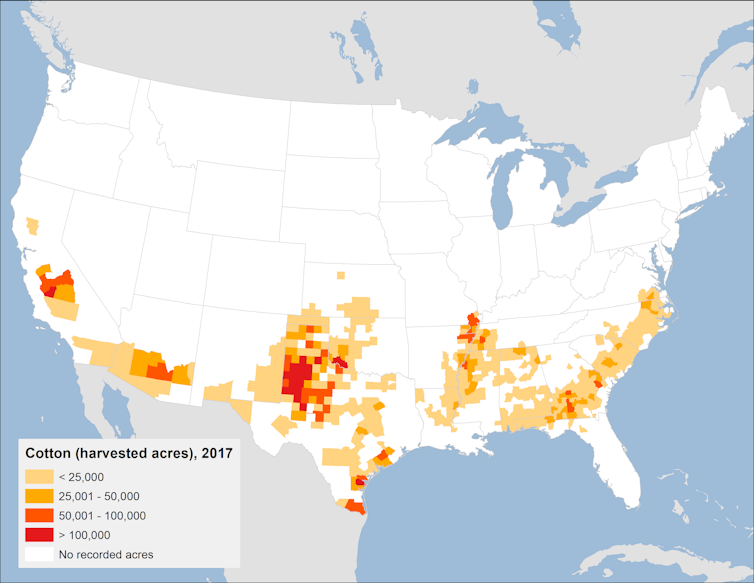 Map showing U.S. states where cotton was harvested in 2017.