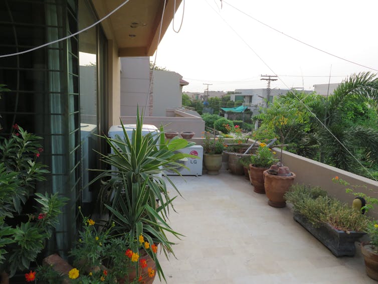 A balcony with glass doors on the left, with plants around its edges