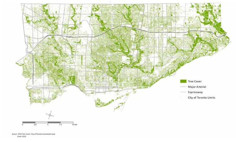 A map showing tree cover in Toronto, which accentuates the parks and ravine systems.