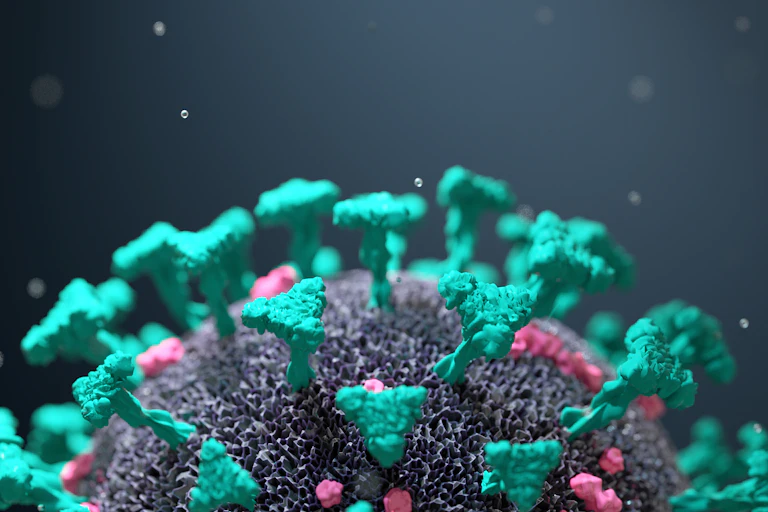 Half of a virus cell