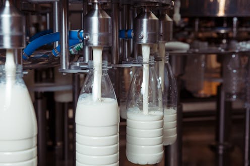 ¿Está contaminada la leche que bebemos?