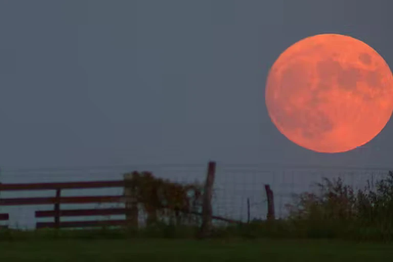 Bulan merah besar di sebelah pagar.