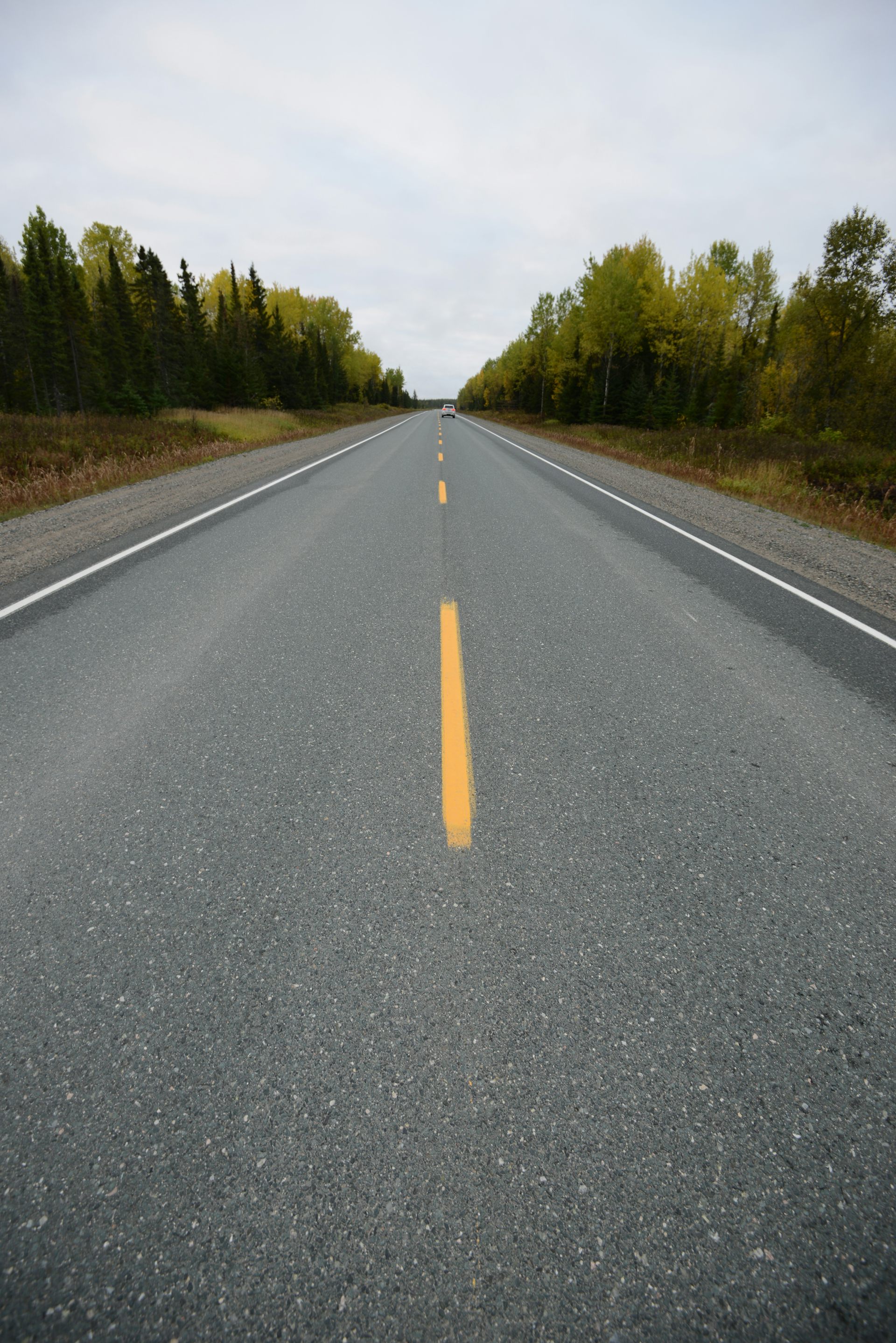 A road extending into the distance.