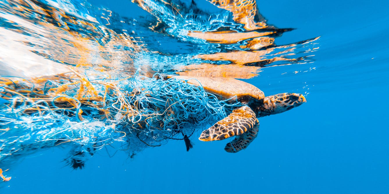 Fishing nets make up almost half of ocean plastic pollution