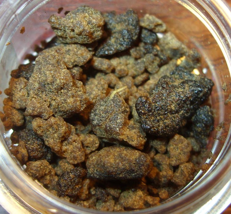 A bowl with hashish.
