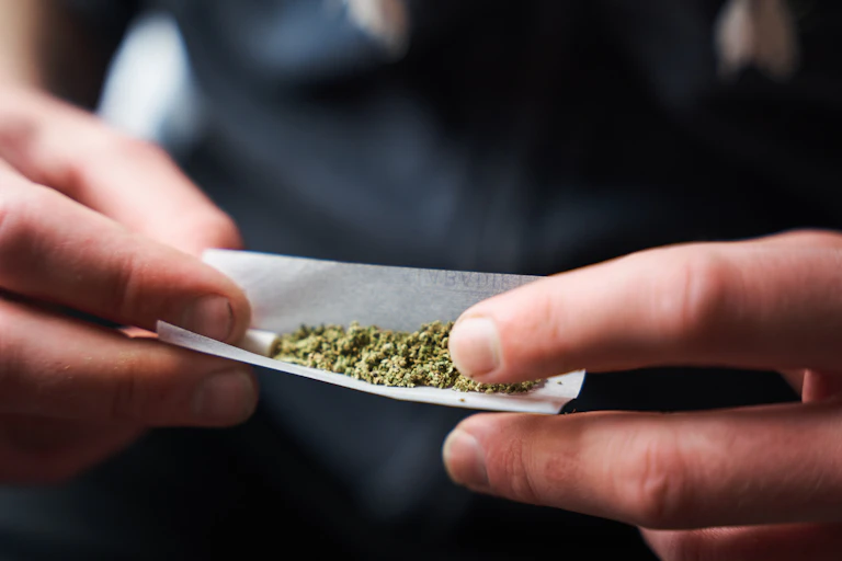 A person holding a piece of paper with marijuana on it.