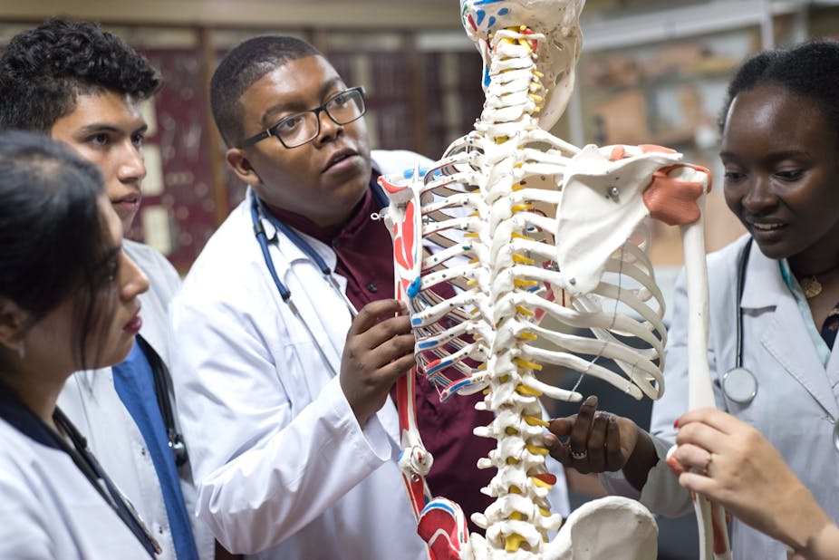 Four young people in white medical coats with stethoscopes draped around their necks examine a model of a human skeleton