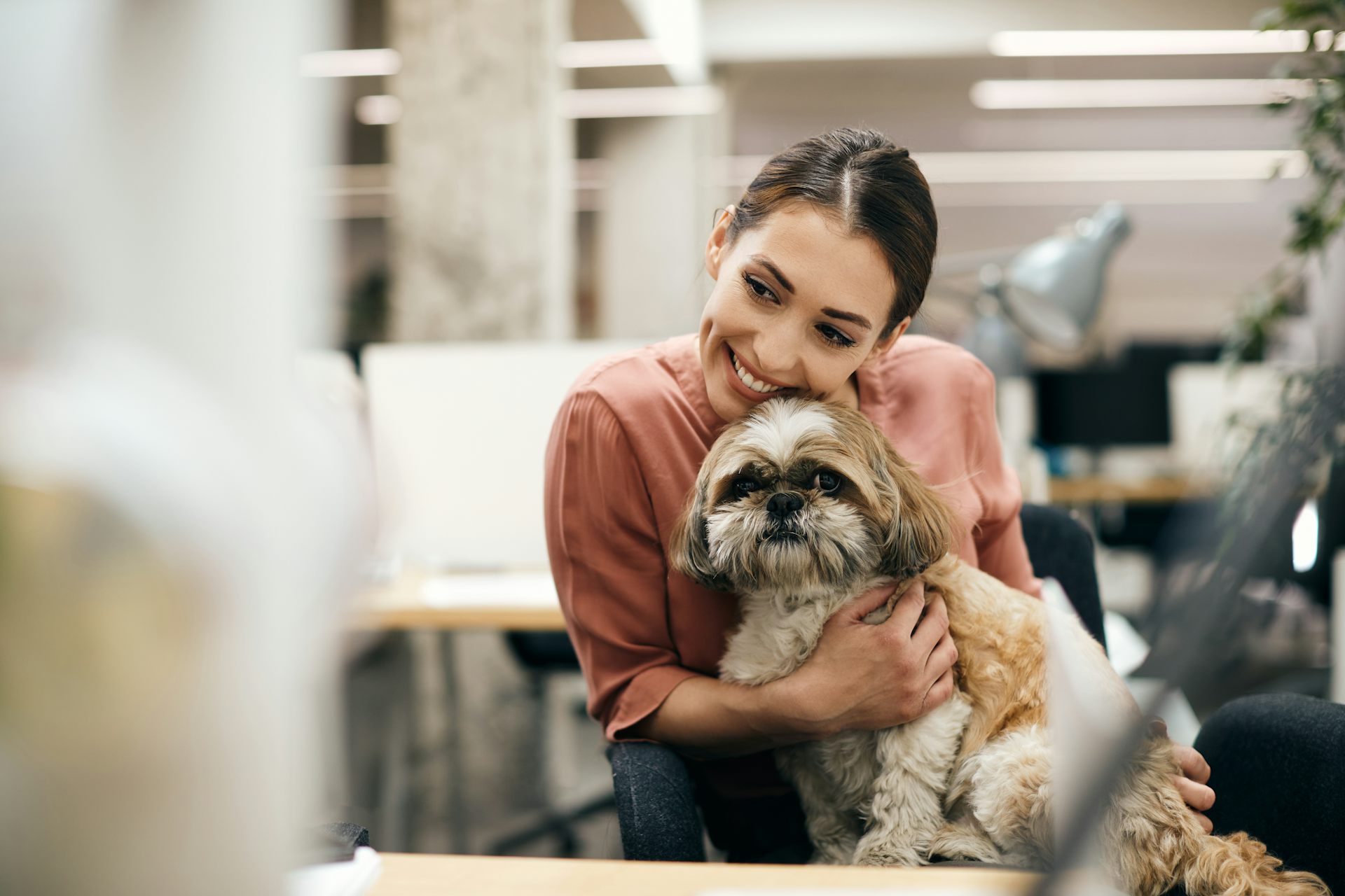 paws for thought dog food