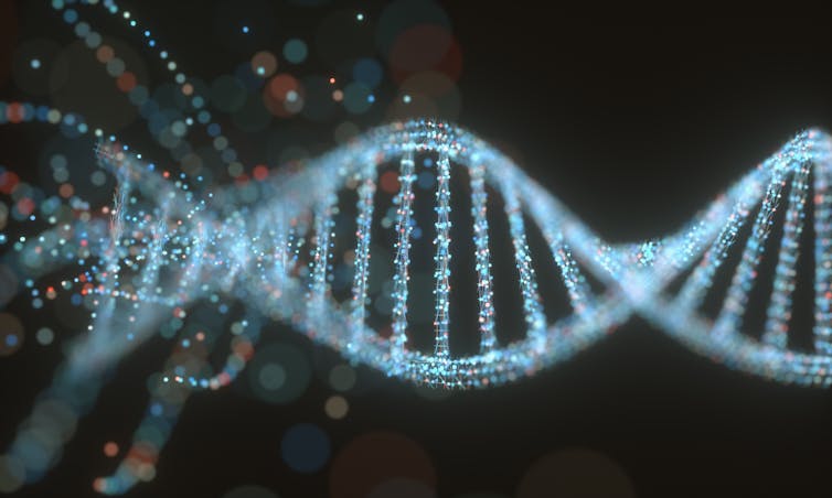 A 3D illustration of a DNA molecule.