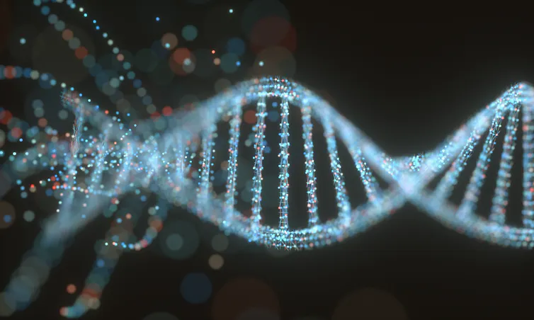 A 3D illustration of a DNA molecule.