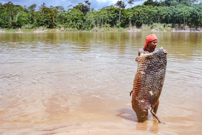 Un pêcheur de la jungle brésilienne