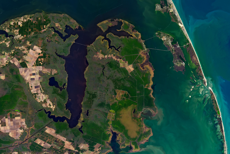 A satellite image of the coast with red spots along a river inlet indicating dead forests