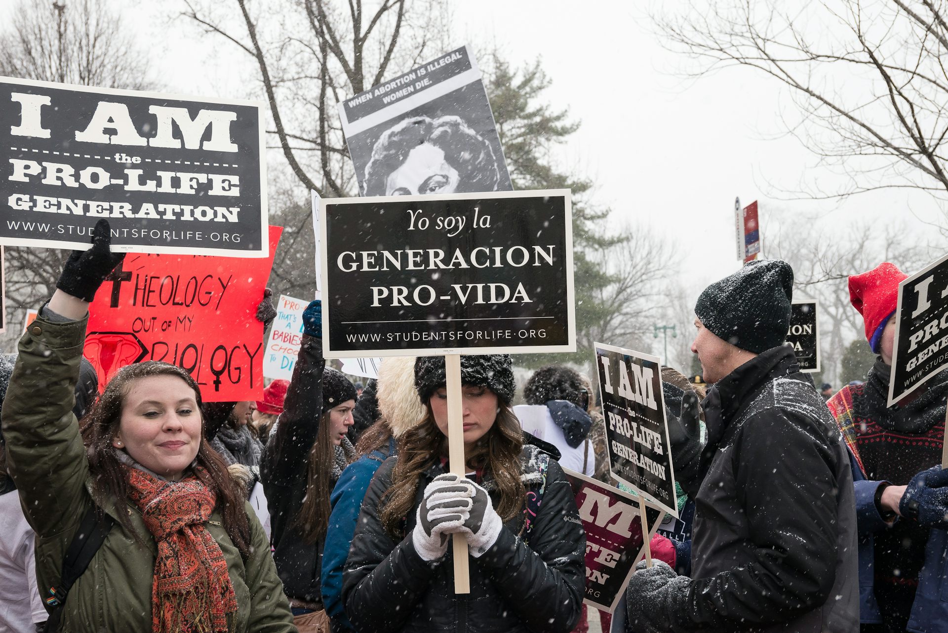 What really drives anti-abortion beliefs? Research suggests its a matter of sexual strategies image picture