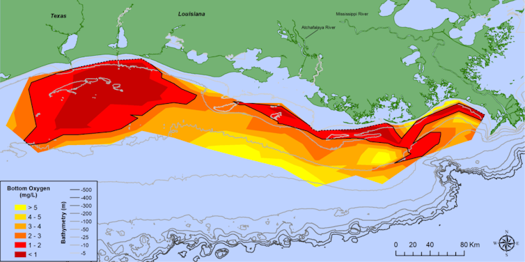Map showing a zone with low oxygen values along the Louisiana coast.