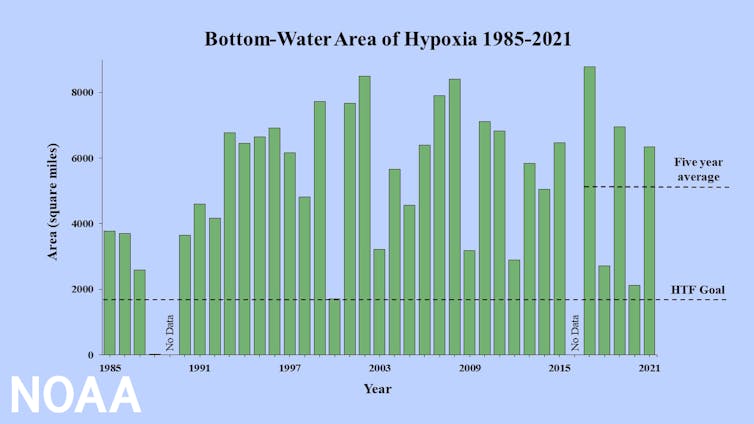 Bar chart showing measurements of the Gulf of Mexico dead zone since 1985.