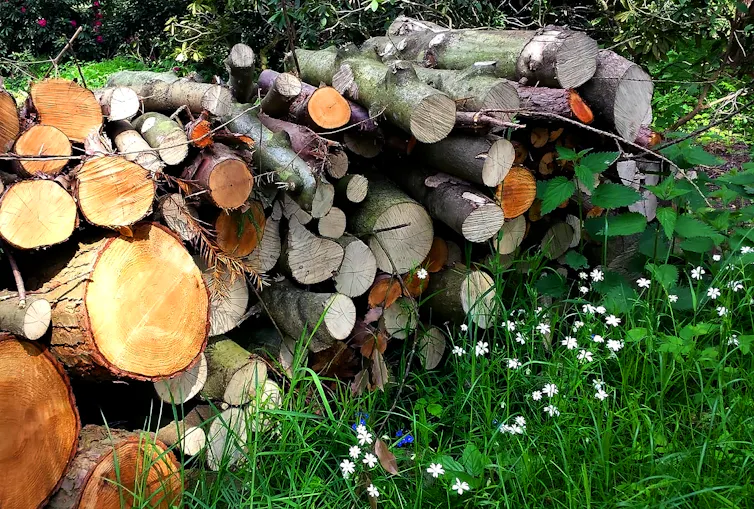 A pile of logs in a garden.