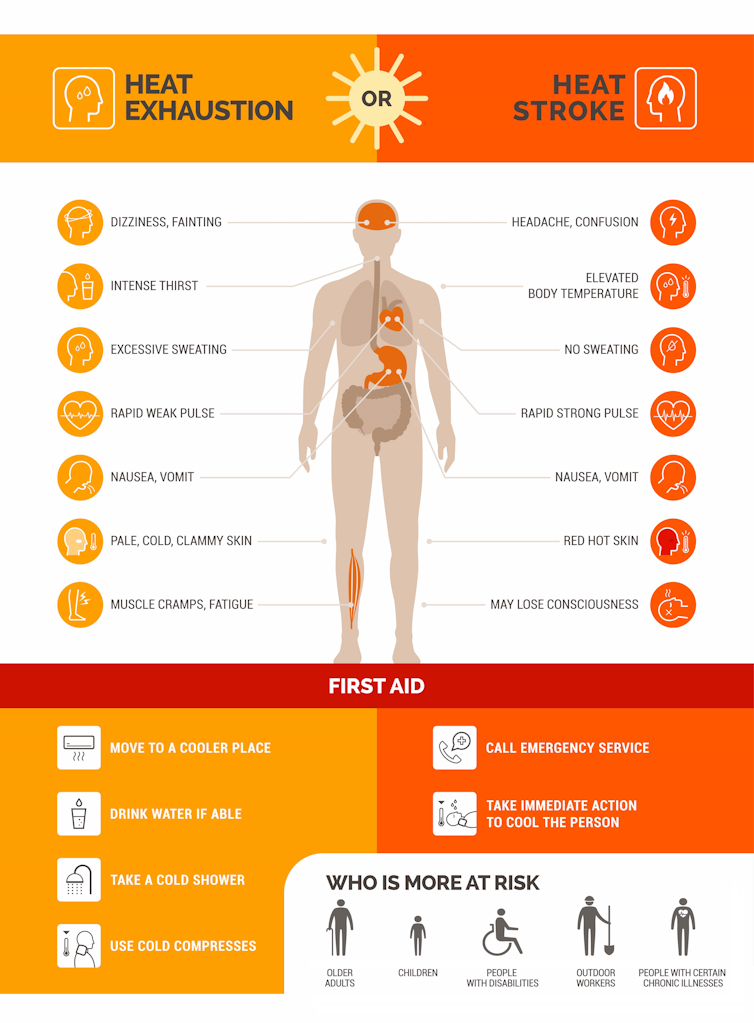 Illustration of human body listing symptoms of heat strike and heat exhaustion