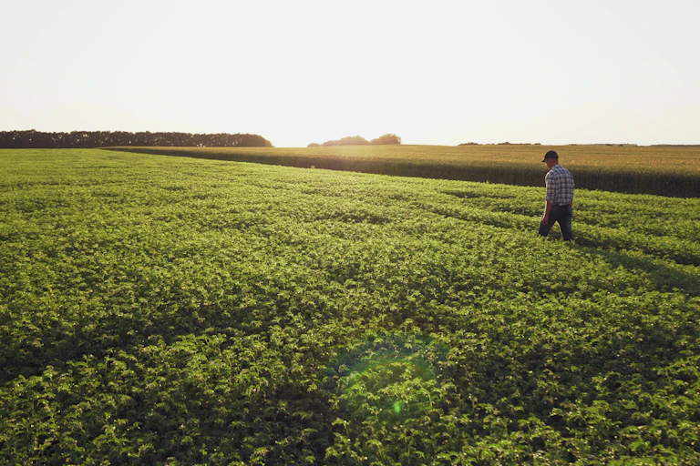 Agriculteur marchant dans un champ