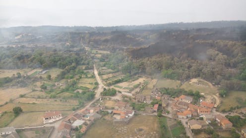 ¿Cuánto hemos perdido en el incendio forestal de la sierra de la Culebra?
