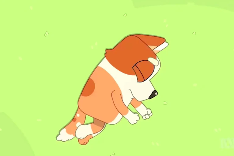 Bluey: a dog lies on the grass