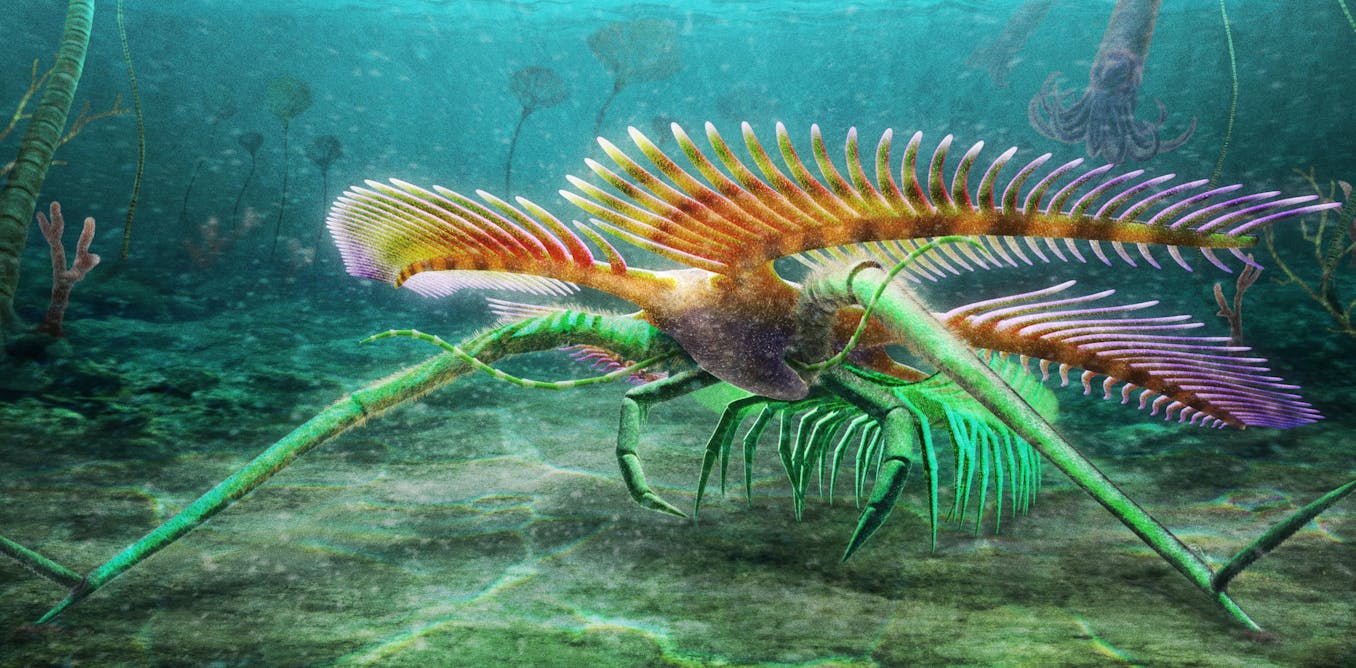 A new fossil discovery reveals a little more about arthropod evolution