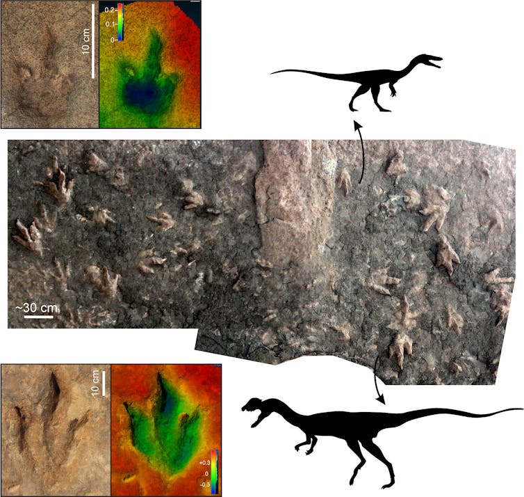 Las huellas llevan a la ciencia un paso más cerca de comprender a los dinosaurios sudafricanos