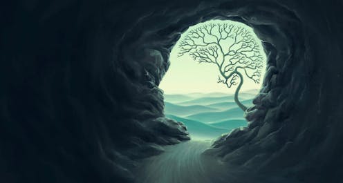 Todos los caminos del cerebro conducen al claustro Todos los caminos del cerebro conducen al claustro