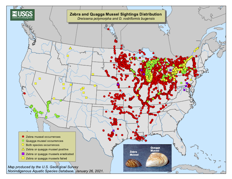 Map showing zebra and quagga mussel distribution in 2021.