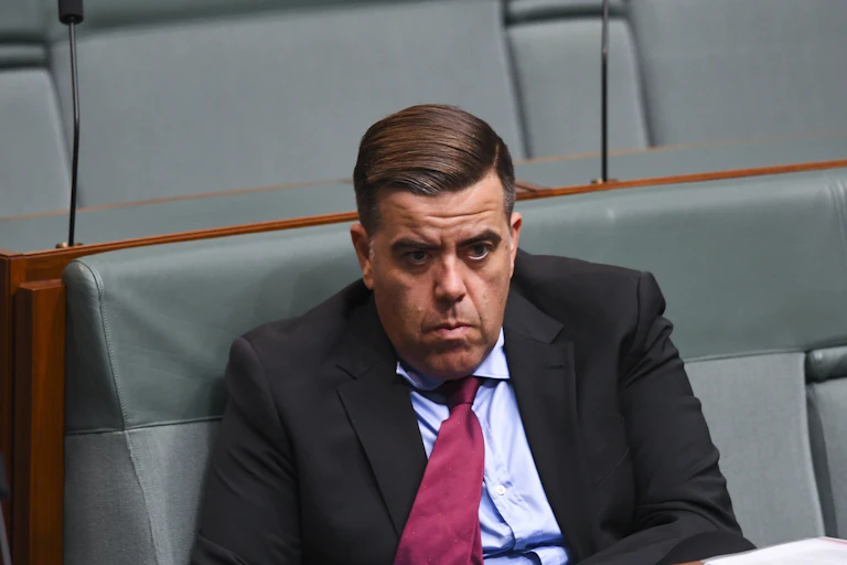 New speaker Milton Dick in Parliament