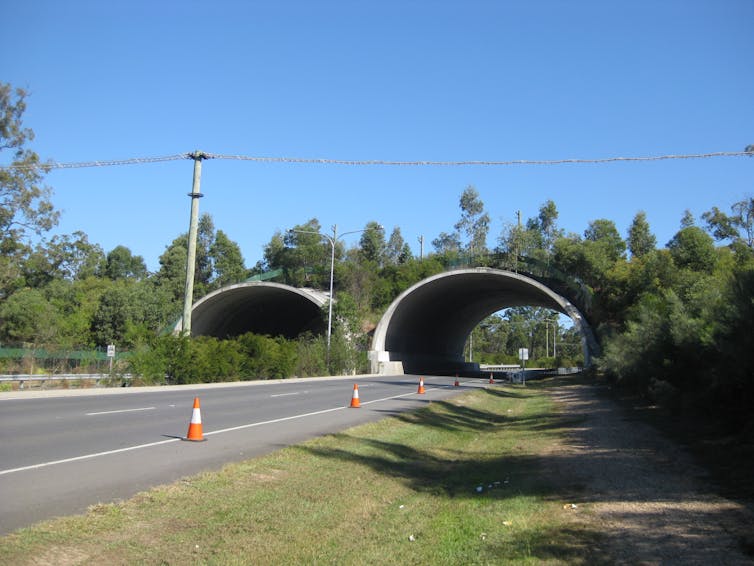 Overpass with vegetation planted on it spans a road