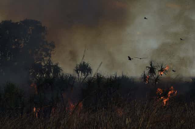 Smoke and flames in grassland
