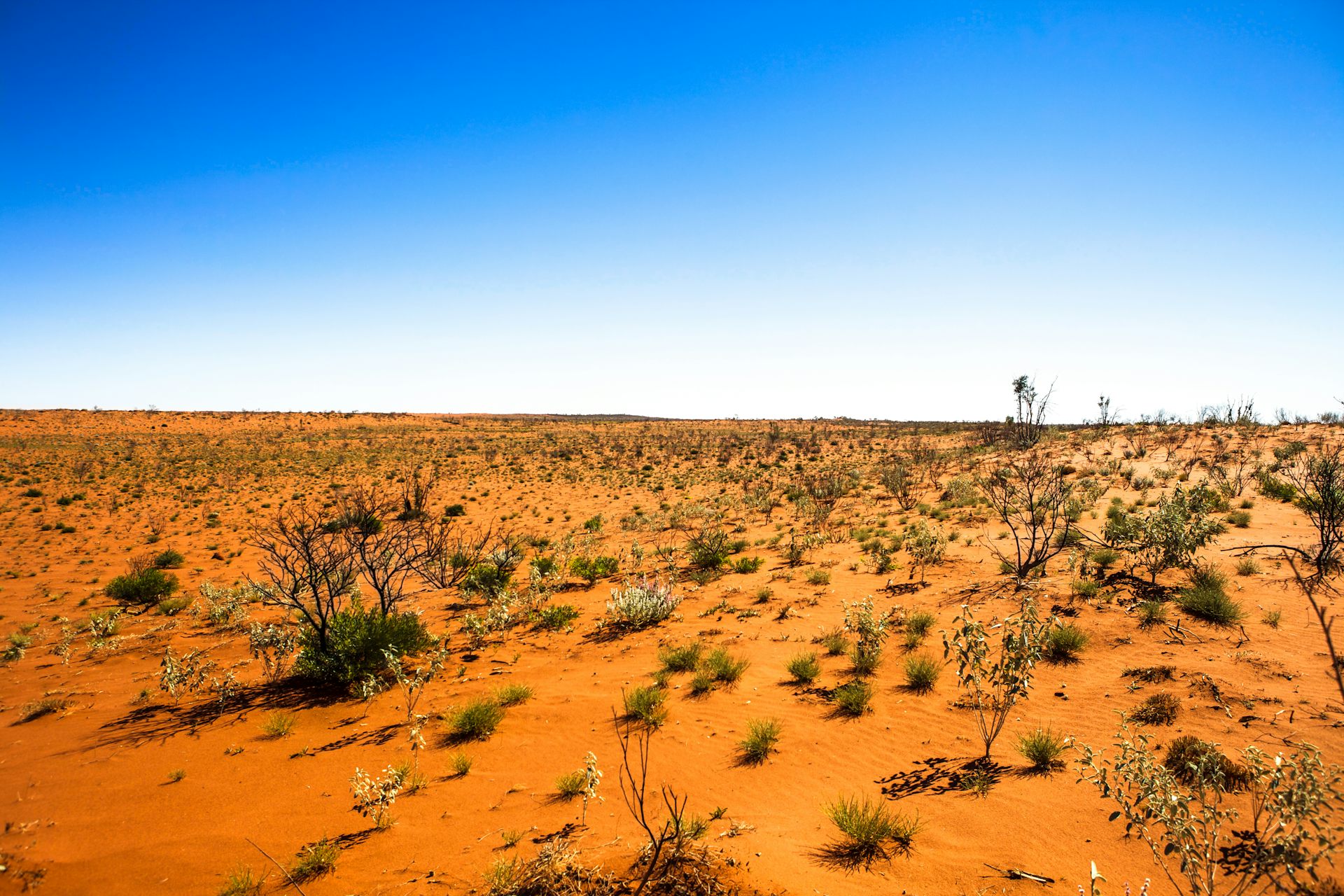 пустыни и полупустыни австралии
