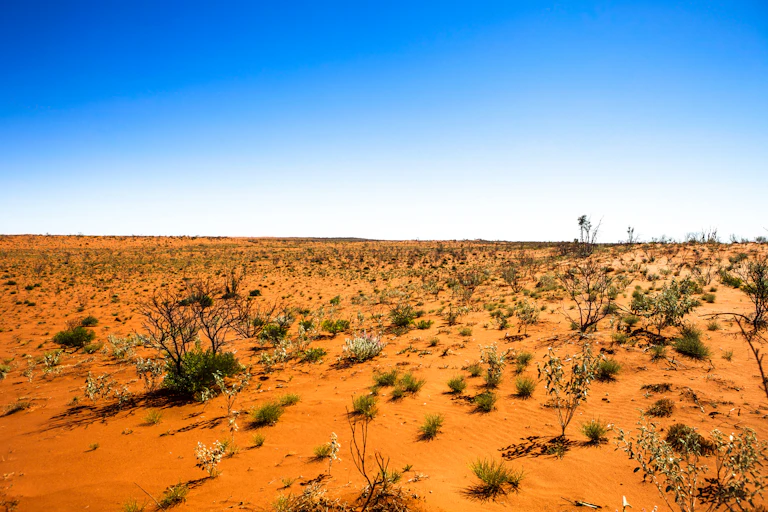 desert and scrub against blue sky