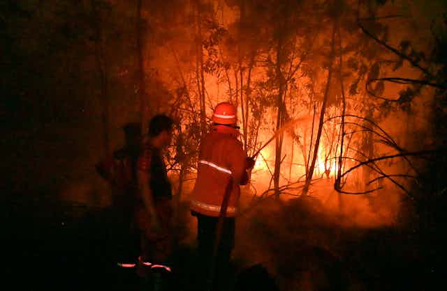 Des pompiers indonésiens tentent d'éteindre un incendie. 