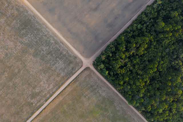 An arial view of fields and forest, split into four triangles by roads. 