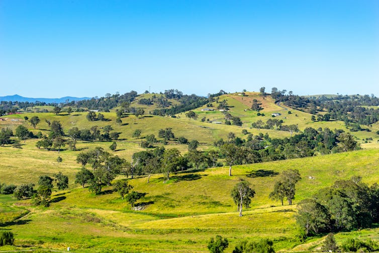 farmland NSW