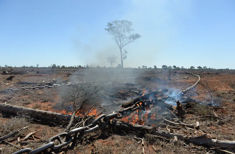 Land clearing chains