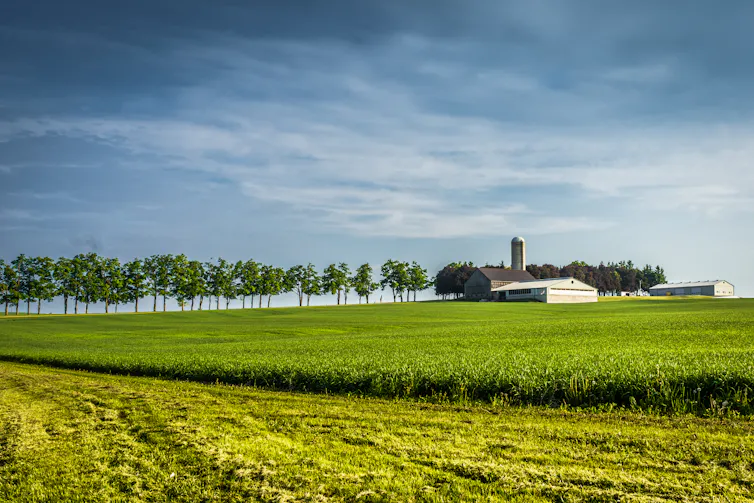 a farm