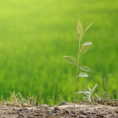 research topics in green energy