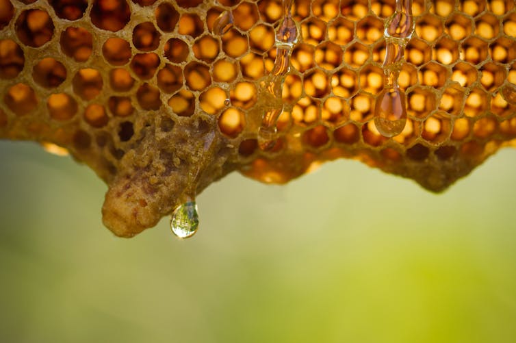 Muchos de los compuestos minoritarios de la miel son los responsables de las propiedades funcionales o saludables.