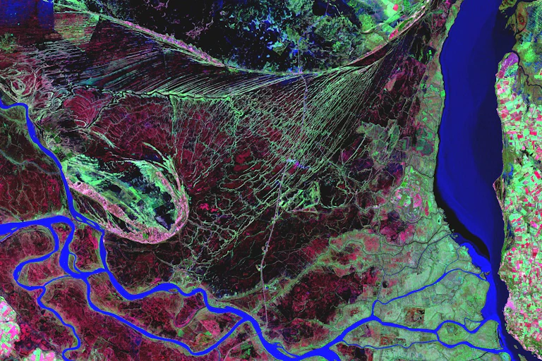 Image satellite vert, bleue et rouge, permettant de distinguer différents types de végétation