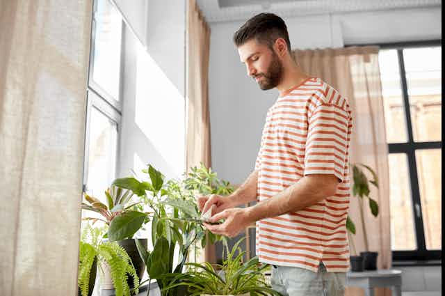 A man in his 20s or 30s cares for his houseplants.