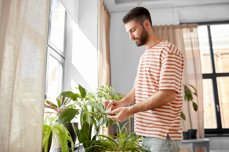 A man in his 20s or 30s cares for his houseplants.