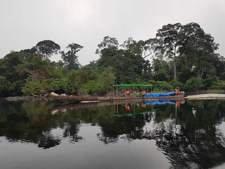 A long wooden canoe next to a woody river bank.