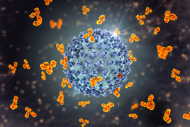 An illustration of SARS-CoV-2.