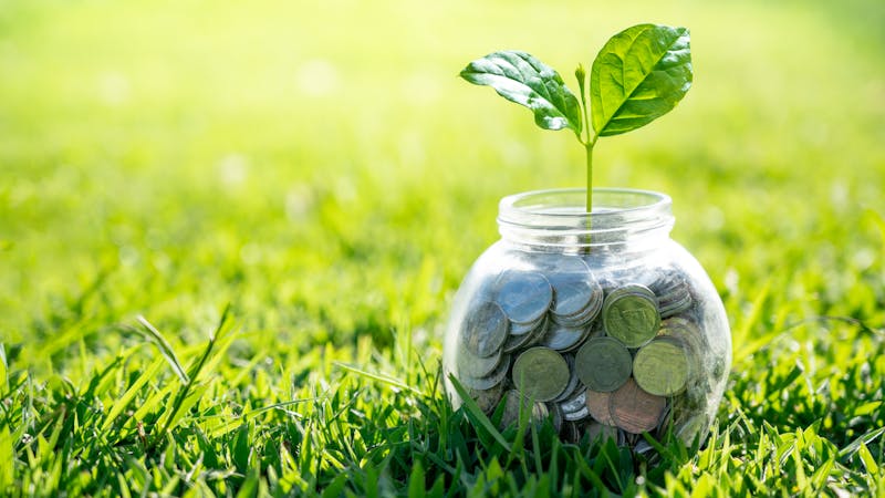 Cómo el pesimismo favorece las inversiones sostenibles Cómo el pesimismo favorece las inversiones sostenibles