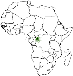A line map of Africa with the location of the peatland complex indicated in green.