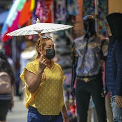 natural selection research paper ideas