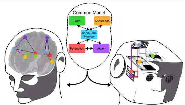 un gráfico que muestra una cabeza y un cerebro humanos a la izquierda, una cabeza de robot con circuitos a la derecha y un gráfico con cinco bloques de colores y flechas que conectan los bloques