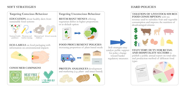 An infographic showing strategies to promote a shift towards more plant-based (flexitarian) diets.